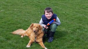 dog-951404_1920